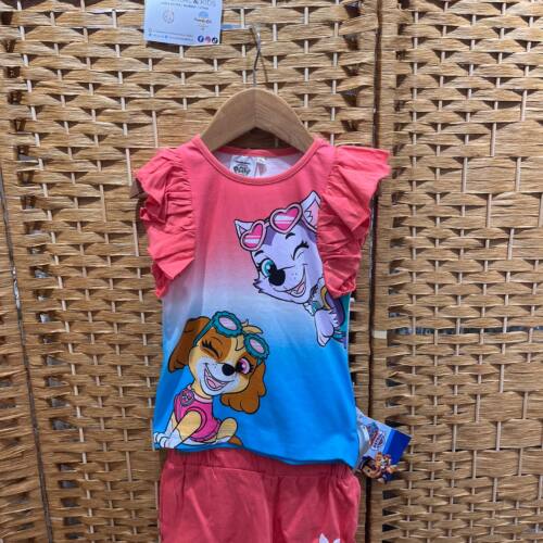 conj.paw patrol